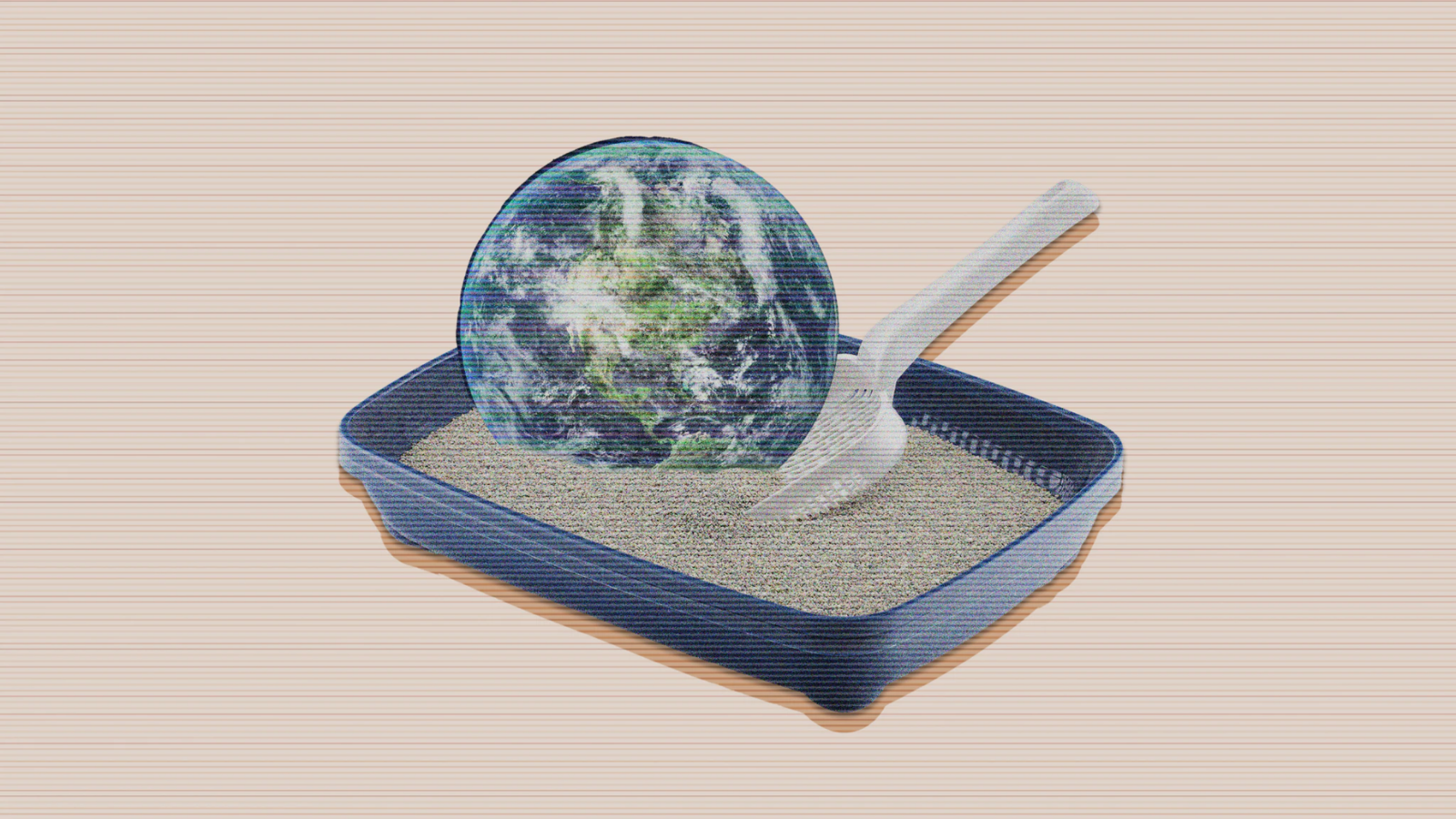 Can cat litter be the solution to climate change?