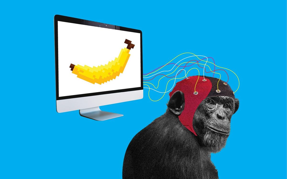 Elon Musk's Neuralink has wired up a monkey to play video games using its mind