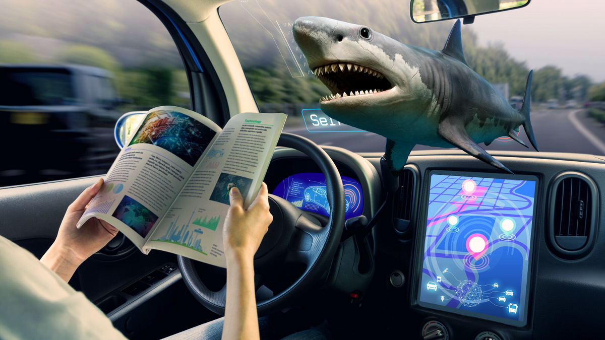 3 in 10 Americans would rather swim with sharks than ride an autonomous vehicle