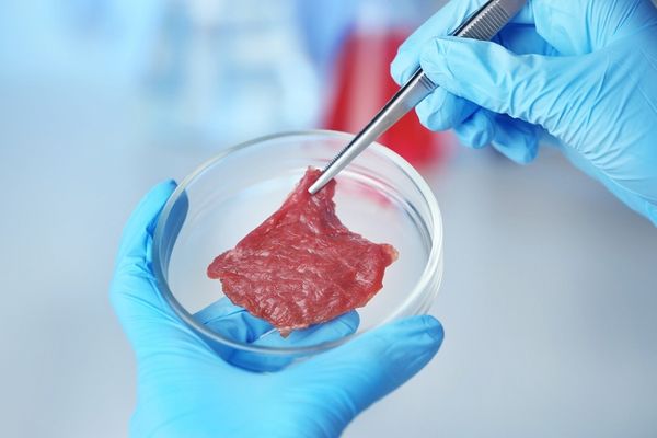 Lab-Grown Meats
